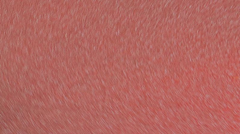 Feierabend w/ Skee Mask