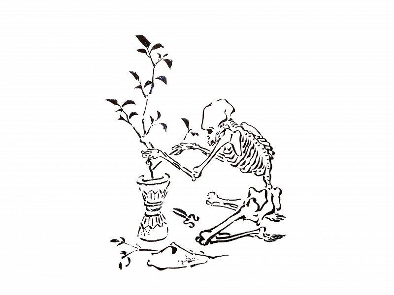 Tim Koh: Kokonut Trip