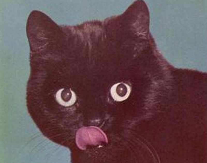 Sofie Birch w/ Intercourse - Unreal Ease pt.1