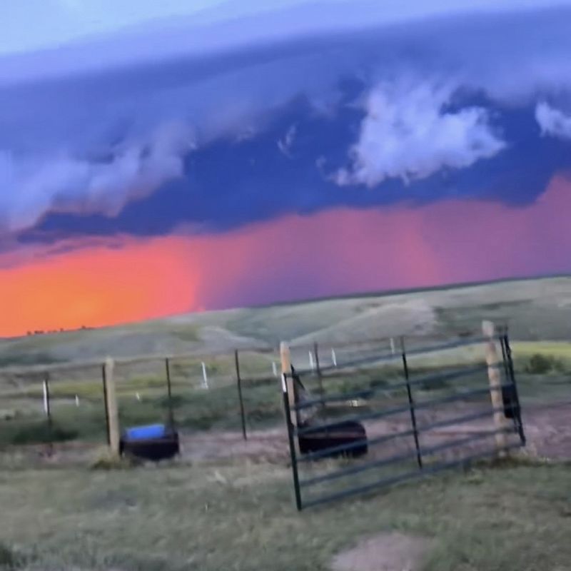 Blooming In Filth w/ CRISIS ACTING