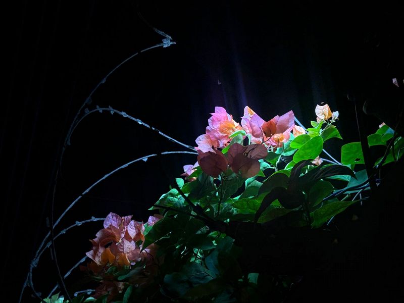 Freewater w/ pr1nc1p3ss4