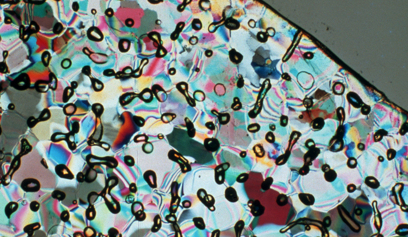 Circle Packing w/ Occo