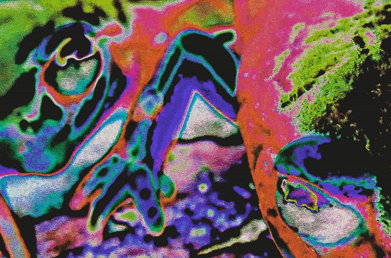 Shadow Dance w/ Salamanda