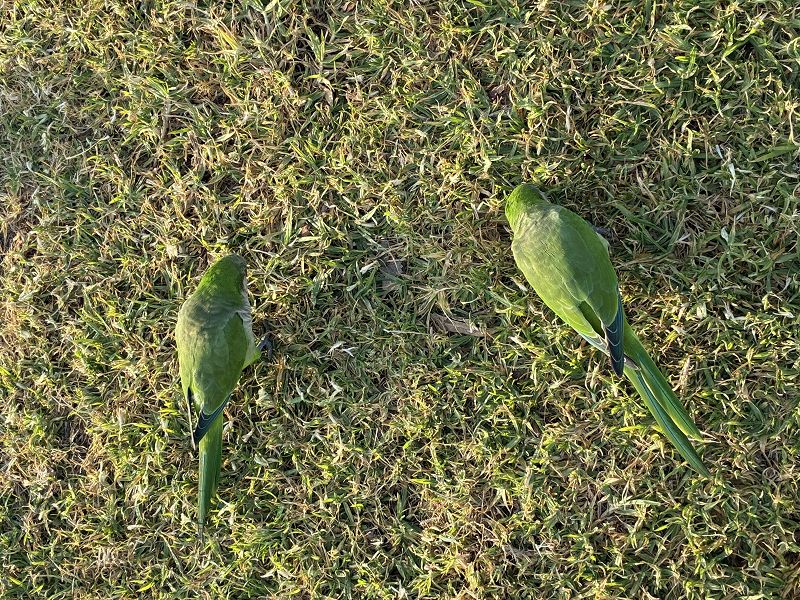 Creep Zone w/ James Pants & Marc Schaller