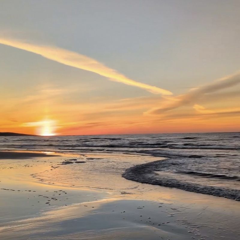 Blooming In Filth w/ CRISIS ACTING