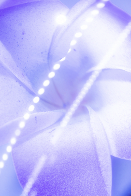 WHEREVER YOU GO, THERE YOU ARE