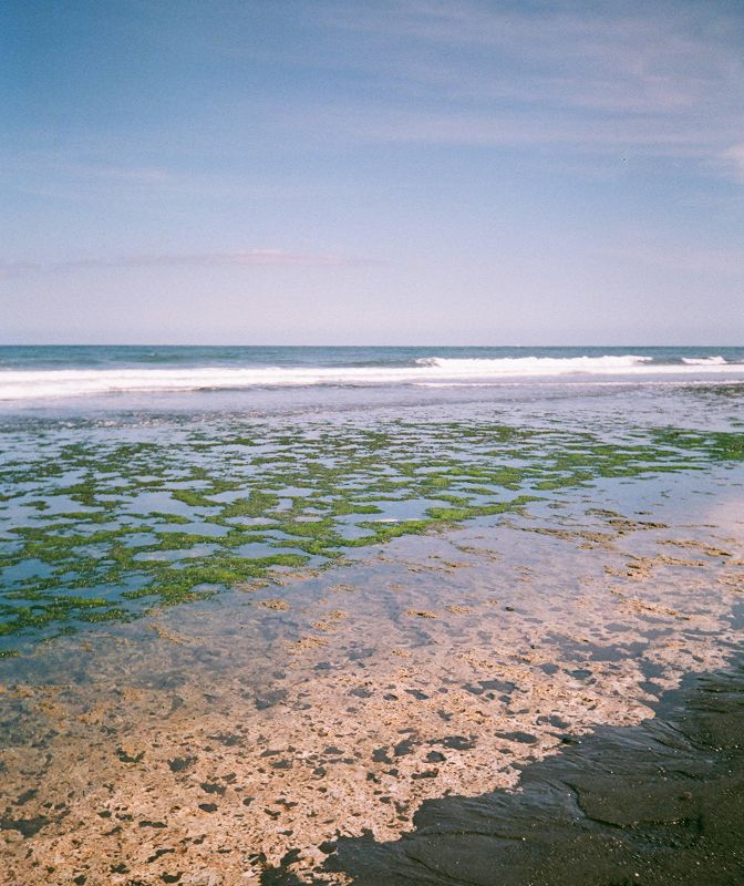 SOPHIA ZHURAVKOVA W/ AIEL