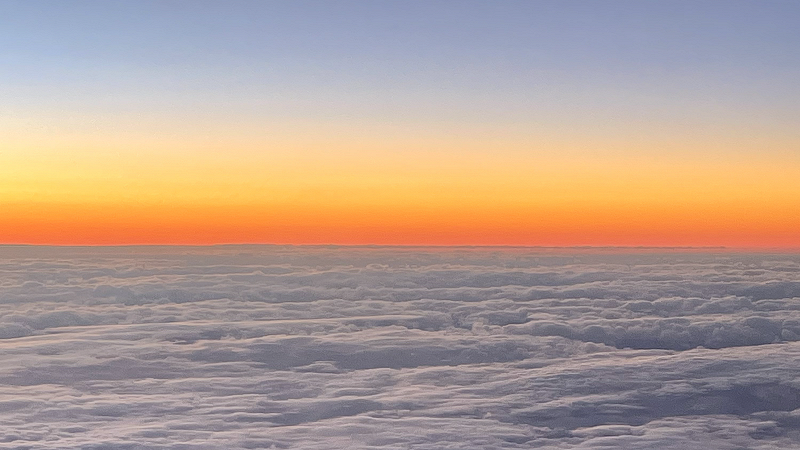 Audio Sauna w/ Tasting Notes