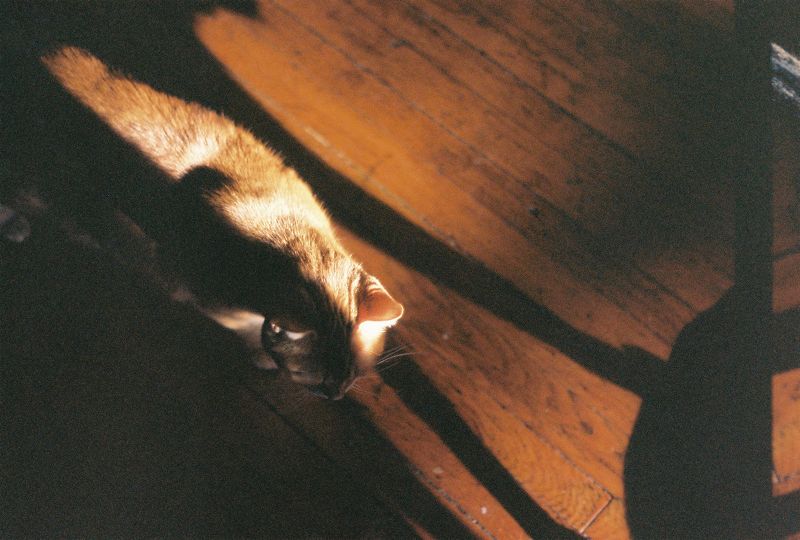 dance but dance slowly w/ wet laundry