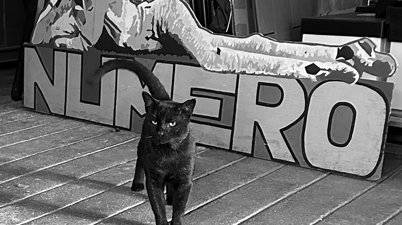 The Numero Group - Staff Picks 2025