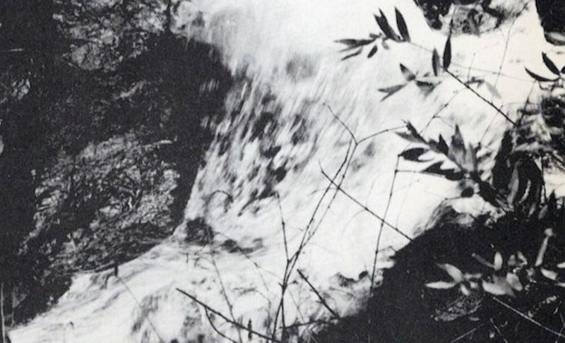 West Coast Fog: Cloudburst Questing