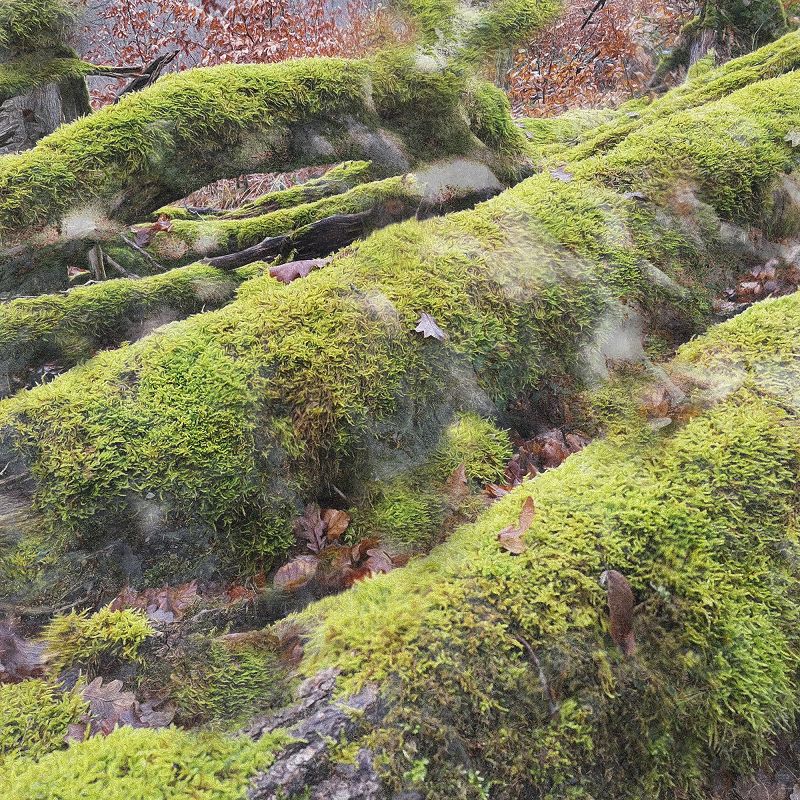 SPA w/ Friday Dunard & Annika Lock