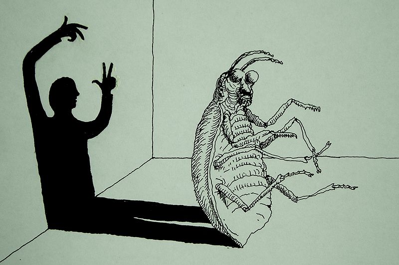 The Lonesome Fate of Gregor Samsa W/ Sandra Rachdi