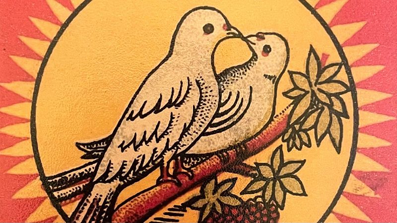 Explorations w/ Digging in India 