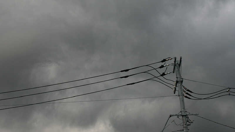 The Early Bird Show w/ PAM