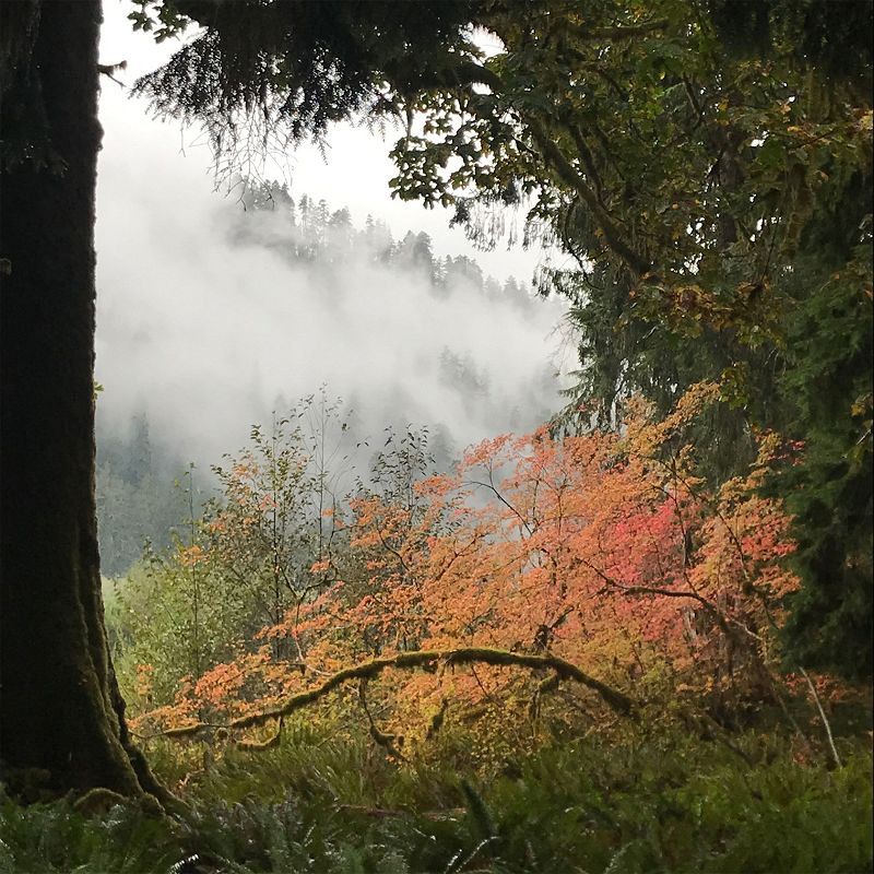 A Month of Sundays w/ Bill Spencer