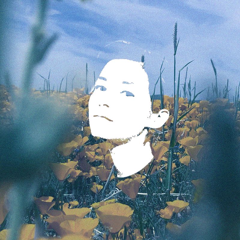 Pender Street Steppers w/ Automaticamore