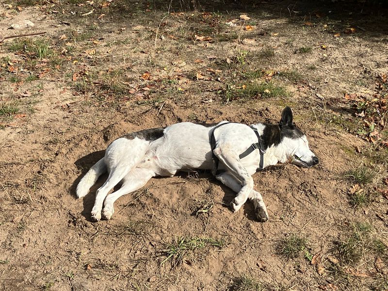 A Month of Sundays w/ Bill Spencer