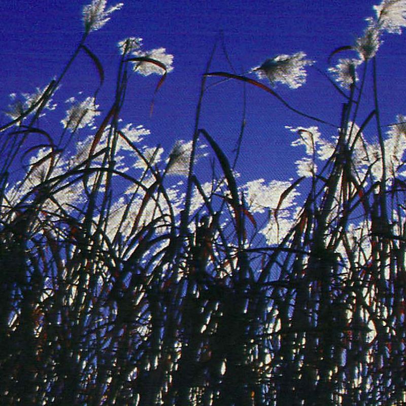 HE4RTBROKEN w/ SSALIVA & DJ OJJO