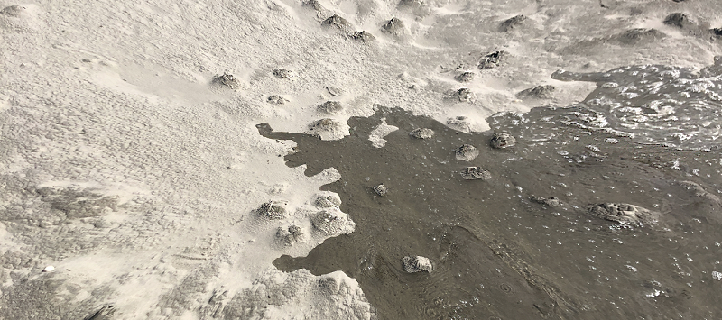 Pacing The Platform w/ upsammy