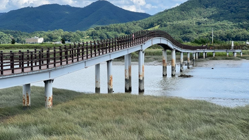 Omichive's Bookshelf