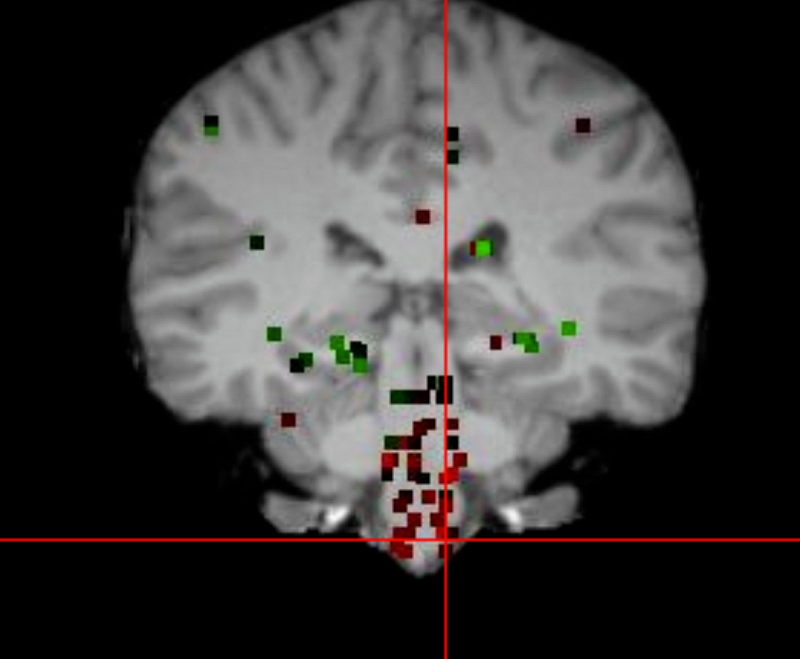 Topias w/ Gabriel Meier