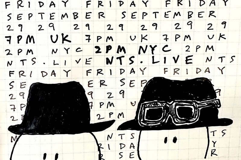 James McNew  (YO LA TENGO)