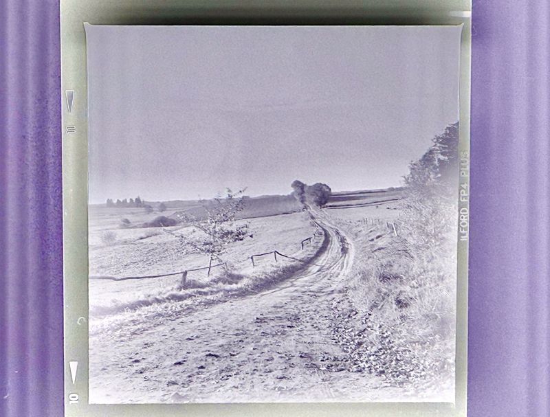 Droga przez sen w/ Malafemmena