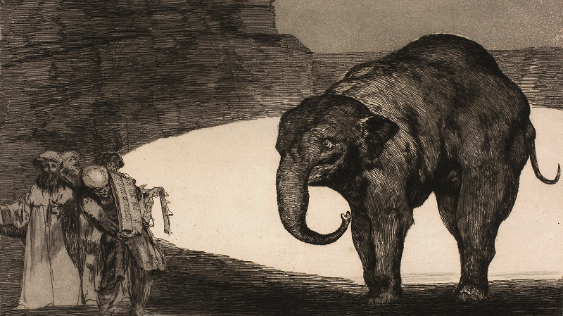 The Early Bird Show w/ PAM - 2025 WRAP