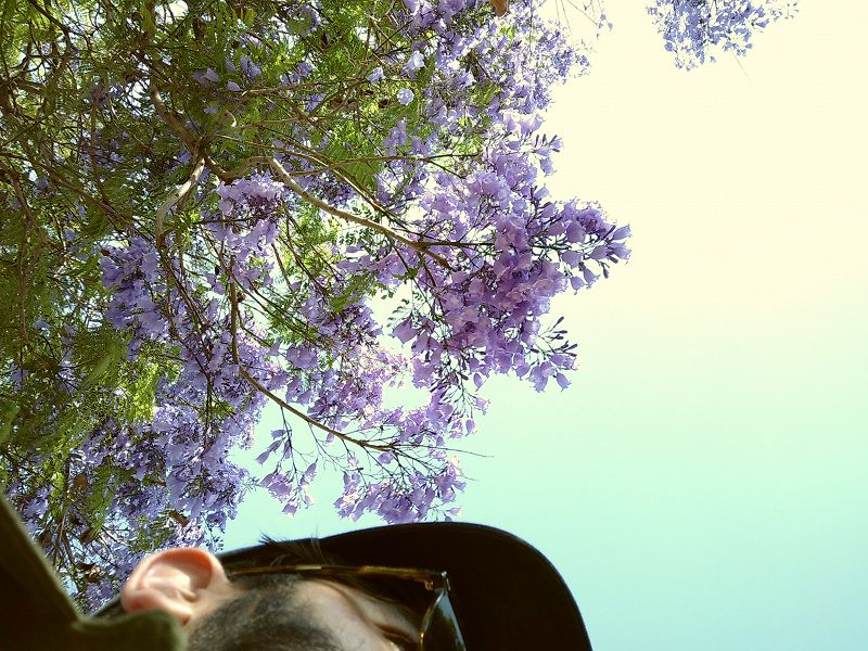 SHAPE+: funcionário