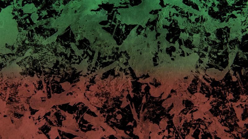 INTO KNOWING W/ TABASHEER