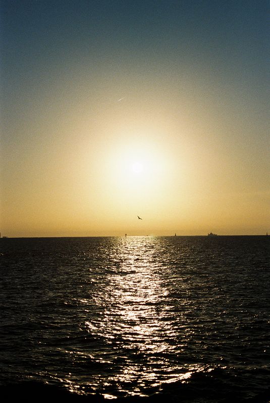 Dejame en Paz W/ MaxOne