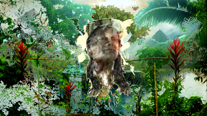 Wampís of Guayabal & Aboutface