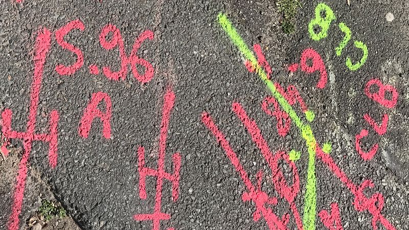 SKYAPNEA w/ Silvestre