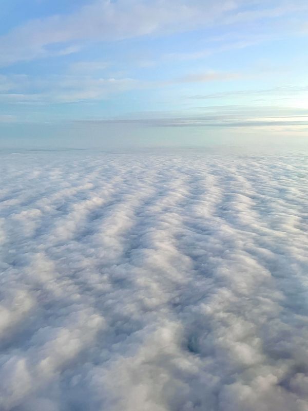 WOODGRAIN w/ DENNIS.EXP