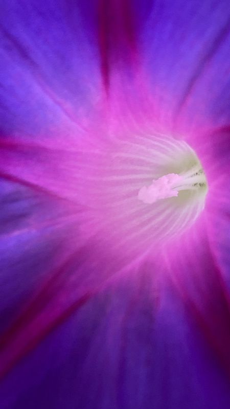 Sleepless for 2 days 21 hours w/ jnin1812