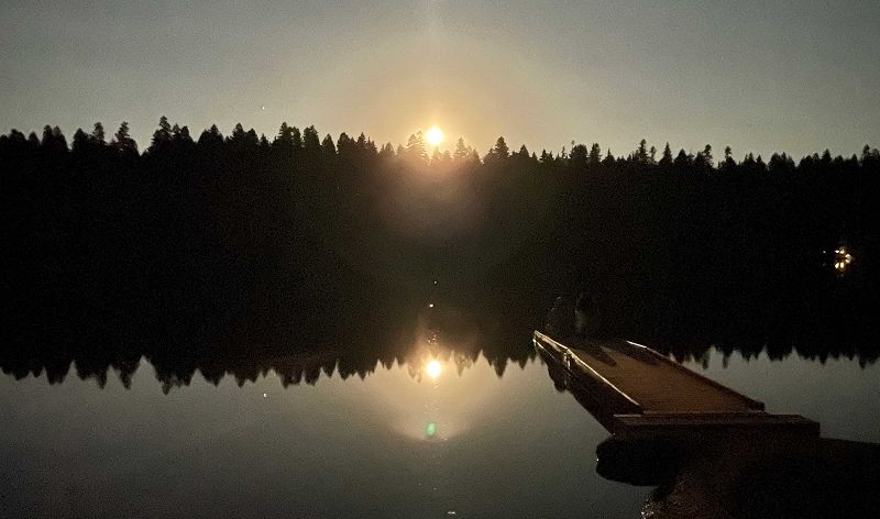 The Head Zone w/ Ripley Johnson