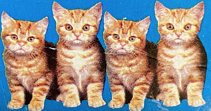 Explorations w/ Digging In India