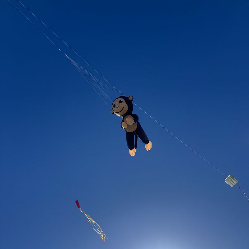 Pender Street Steppers w/ Second Spring