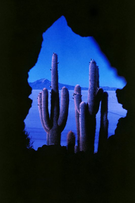 Palestinian Sound Archive