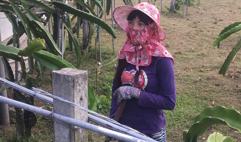 Geologist Presents: The O'Brien System w/ Dutch E Germ