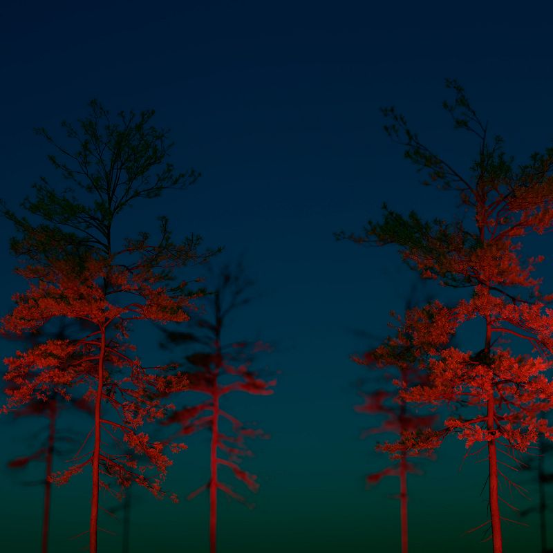 Posh Isolation w/ Alto Aria