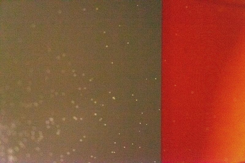 Crouching Tiger W/ nie