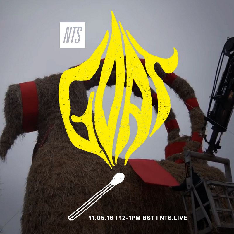 Goat 01 May 2018 Incoming