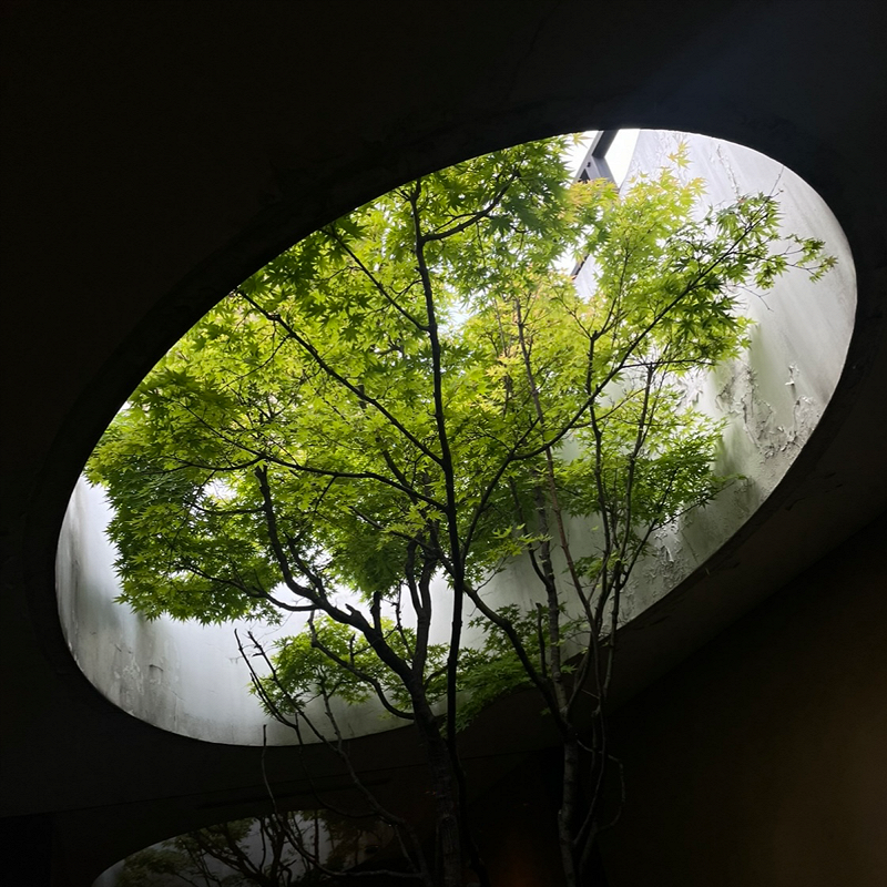 Timetable w/ Nosaj Thing