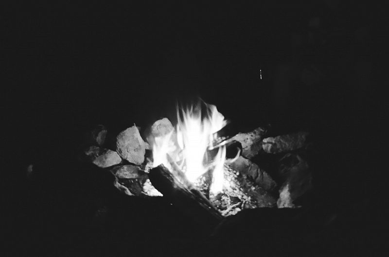 THE LEAVES HAVE GONE W/ ERIC S