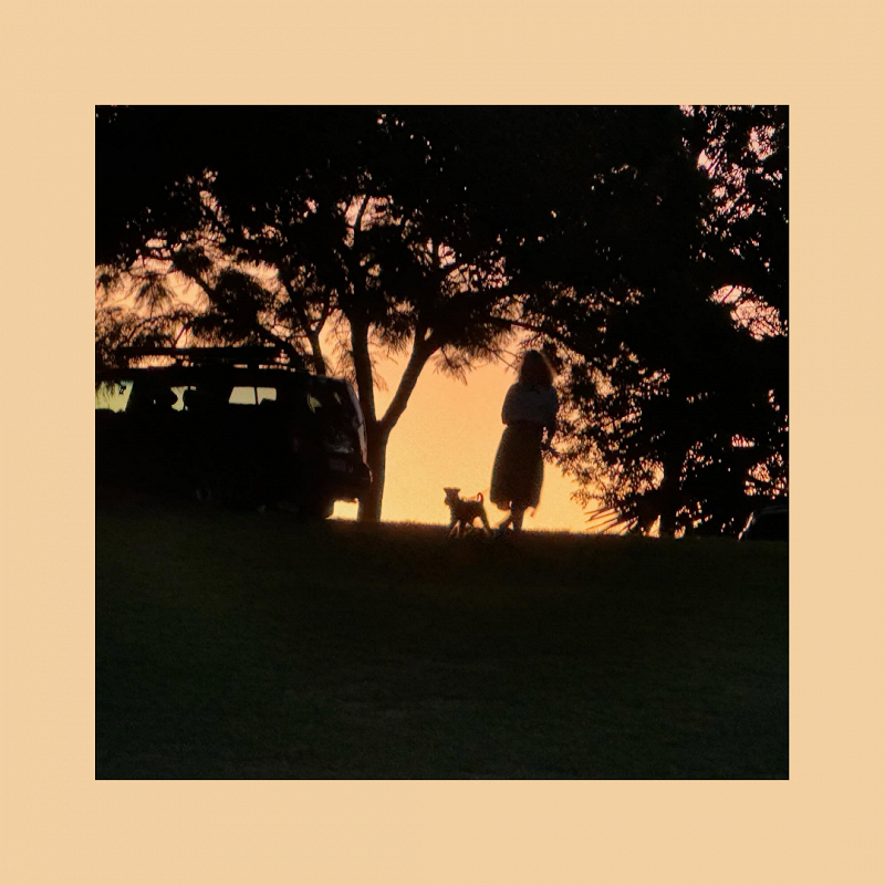 Peace w/ Cat Gallows Wood  