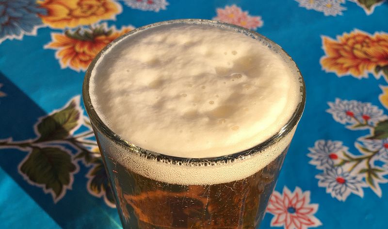 The Head Zone w/ Ripley Johnson