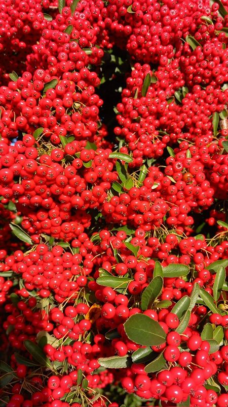 If Music Presents You Need This w/ Jean-Claude