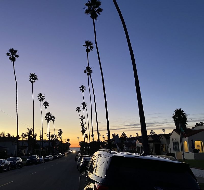 Alex Ho w/ Total Stasis